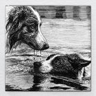 Unspoken Bond