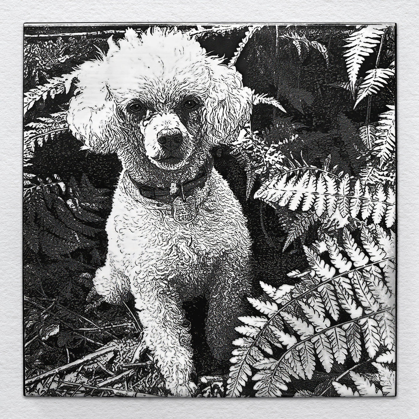 Riley — Always Nearby