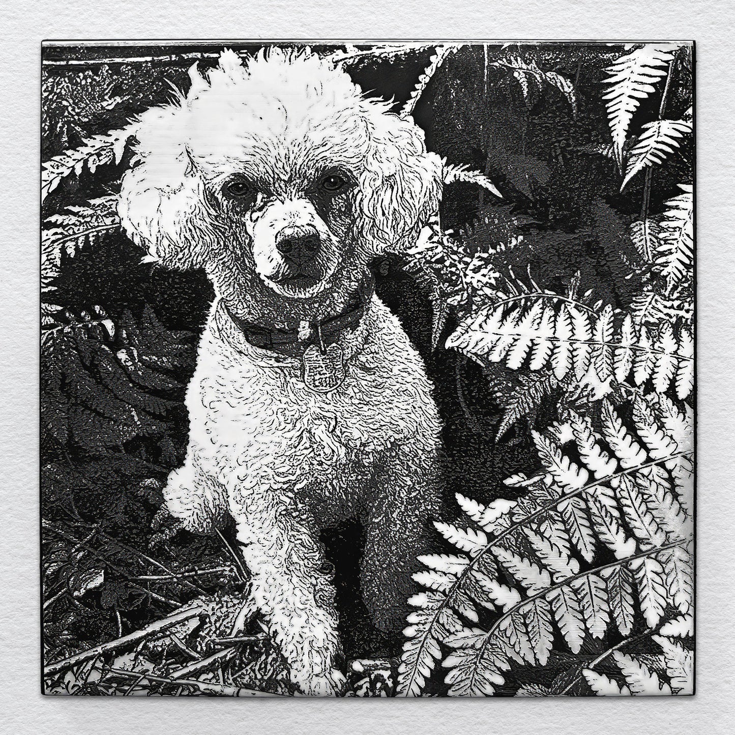 Portrait of a white poodle named Riley sitting among ferns, laser-etched on black ceramic tile.