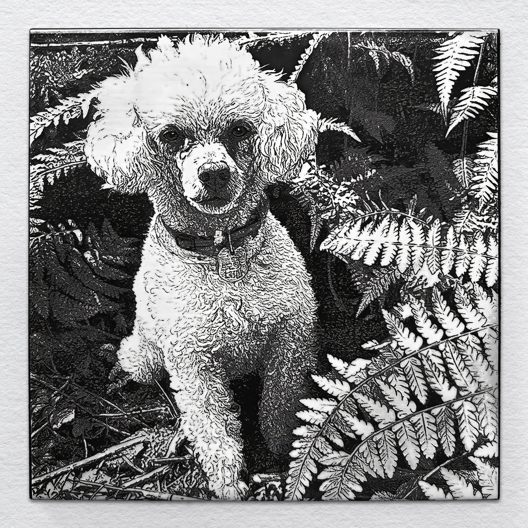 Portrait of a white poodle named Riley sitting among ferns, laser-etched on black ceramic tile.