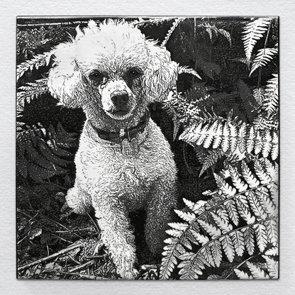 Portrait of a white poodle named Riley sitting among ferns, laser-etched on black ceramic tile.