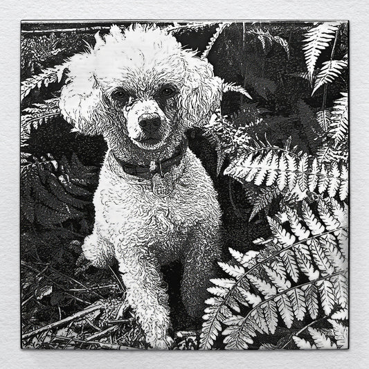 Portrait of a white poodle named Riley sitting among ferns, laser-etched on black ceramic tile.