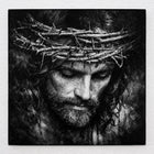 The Crown of Thorns